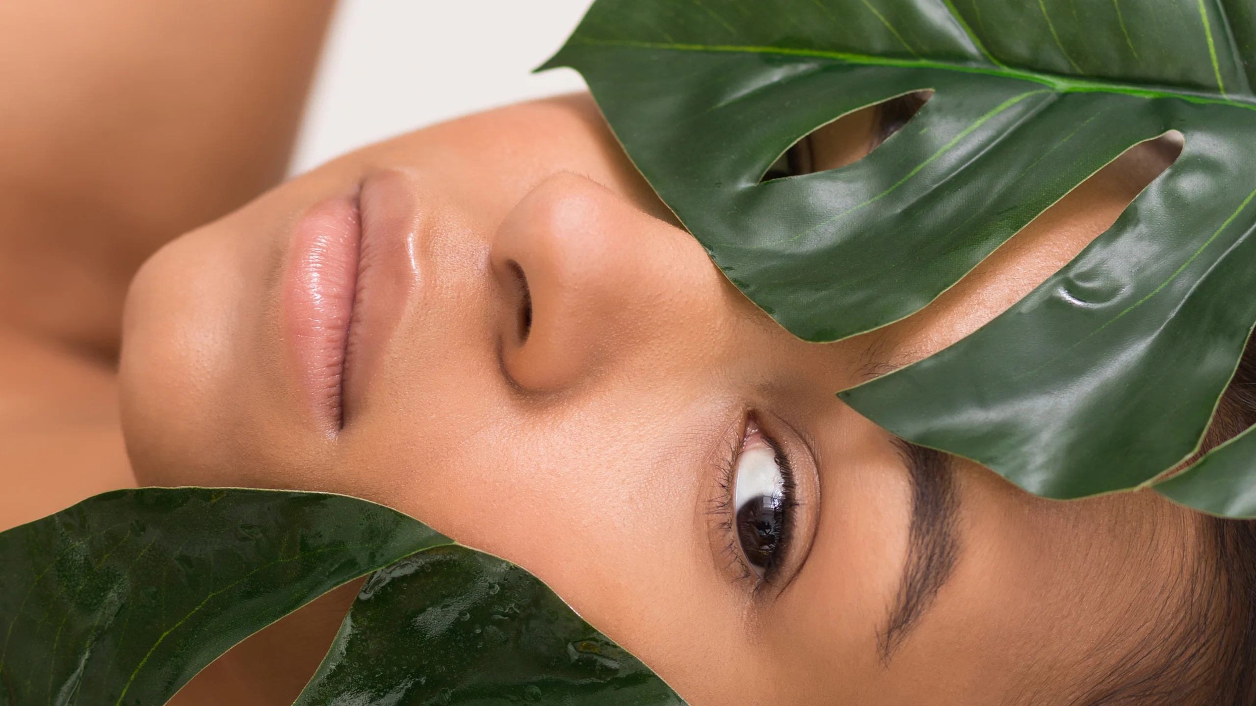 Natural ingredients for perfect skincare Fashion and Lifestyle Trends